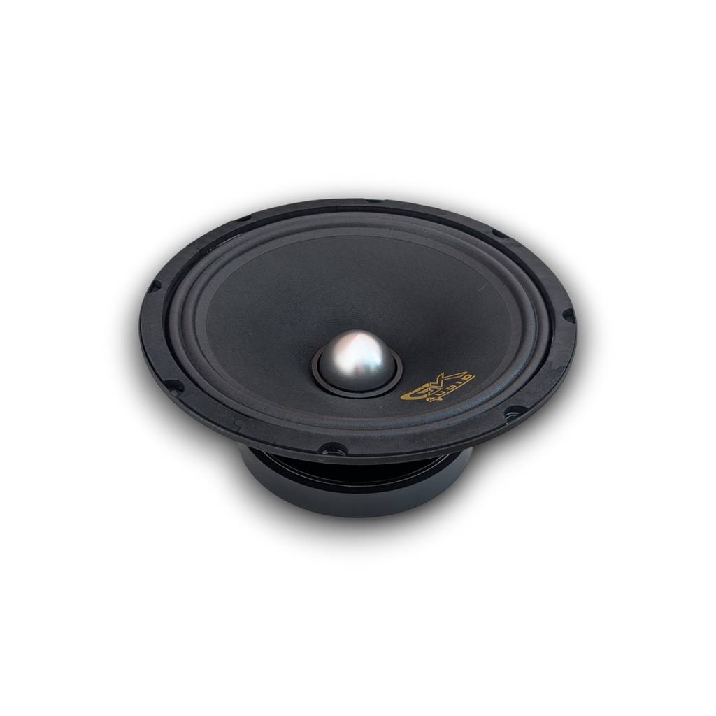 GK 10 SVOICE