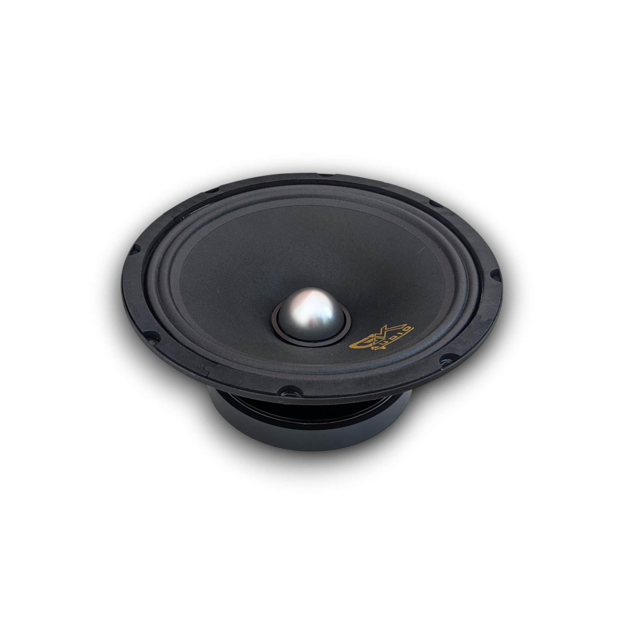 GK 10 SVOICE