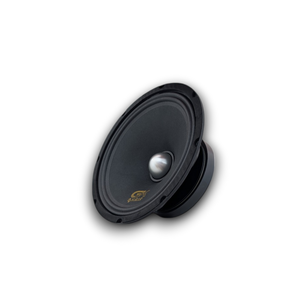 GK 10 SVOICE