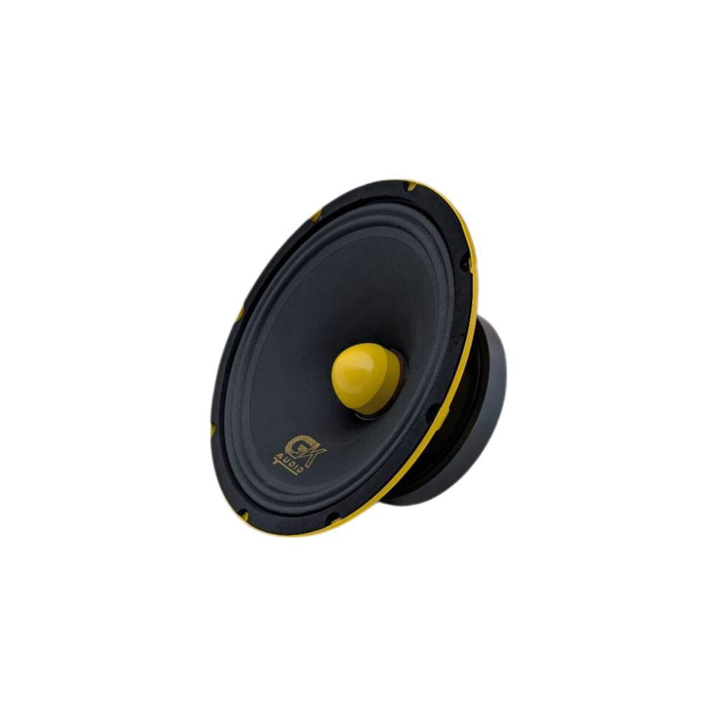 GK 10 SVOICE