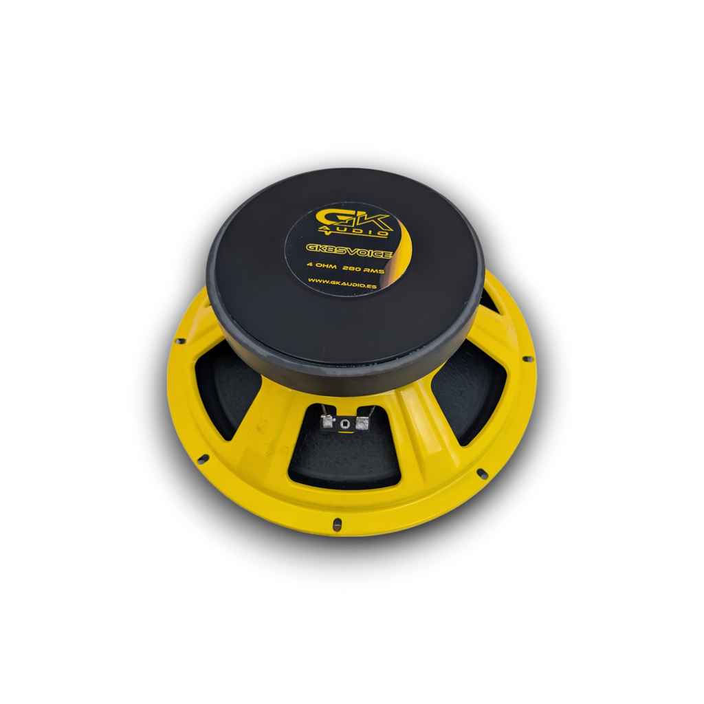 GK 10 SVOICE